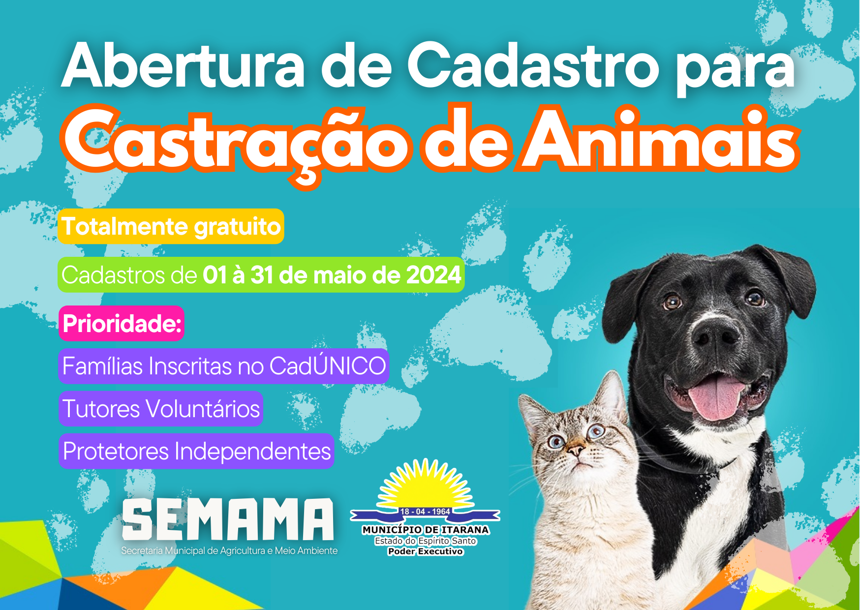 Imagem da notcia